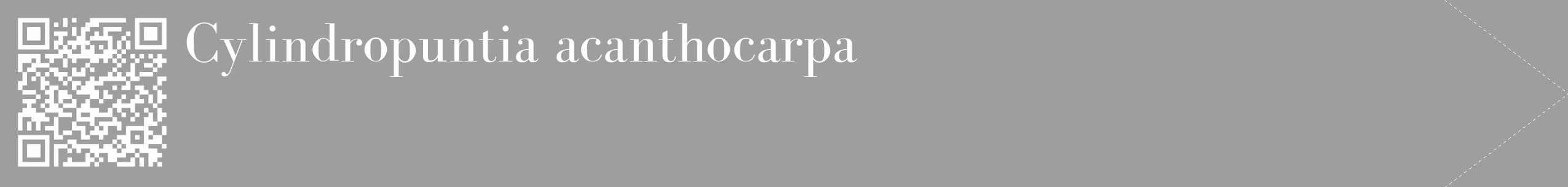 Étiquette de : Cylindropuntia acanthocarpa - format c - style blanche23_simple_simplebod avec qrcode et comestibilité