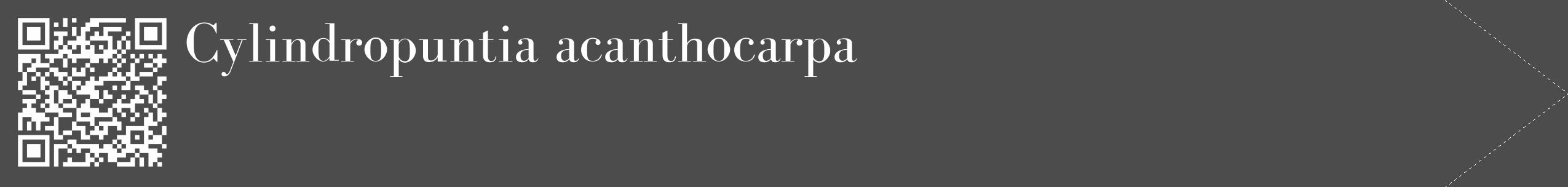 Étiquette de : Cylindropuntia acanthocarpa - format c - style blanche27_simple_simplebod avec qrcode et comestibilité