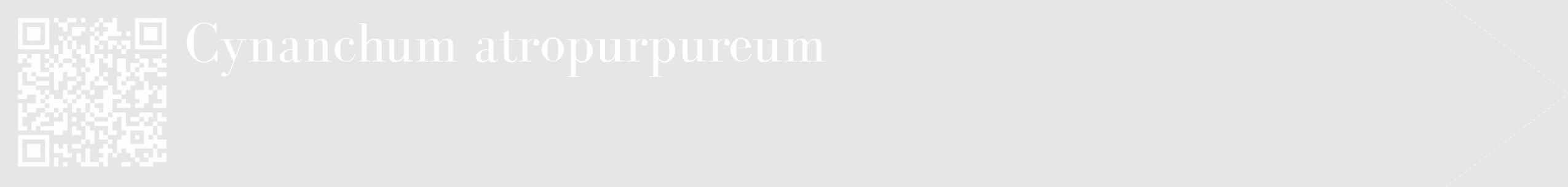 Étiquette de : Cynanchum atropurpureum - format c - style blanche18_simple_simplebod avec qrcode et comestibilité