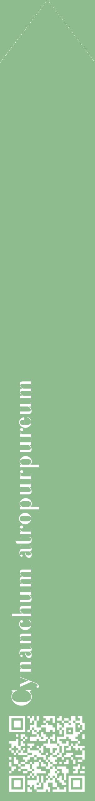 Étiquette de : Cynanchum atropurpureum - format c - style blanche13_simplebod avec qrcode et comestibilité