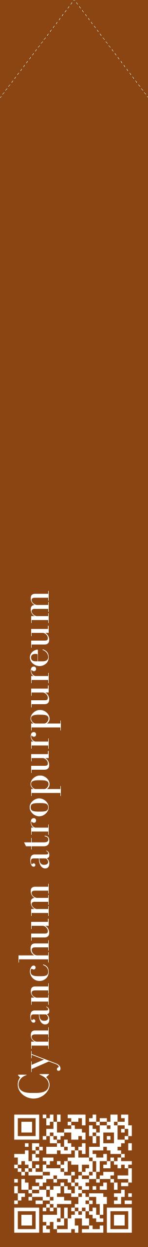 Étiquette de : Cynanchum atropurpureum - format c - style blanche30_simplebod avec qrcode et comestibilité