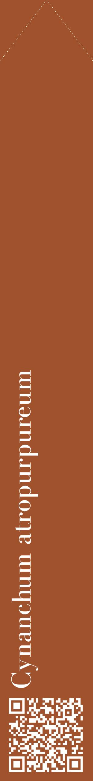 Étiquette de : Cynanchum atropurpureum - format c - style blanche32_simple_simplebod avec qrcode et comestibilité - position verticale