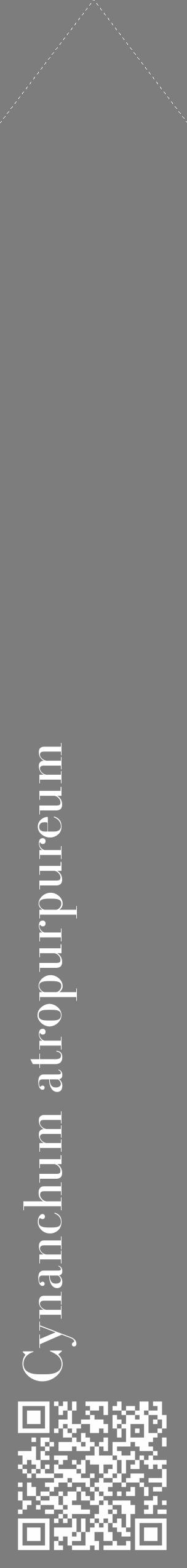 Étiquette de : Cynanchum atropurpureum - format c - style blanche35_simple_simplebod avec qrcode et comestibilité - position verticale