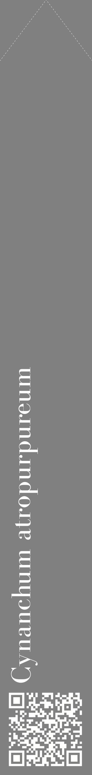 Étiquette de : Cynanchum atropurpureum - format c - style blanche57_simplebod avec qrcode et comestibilité