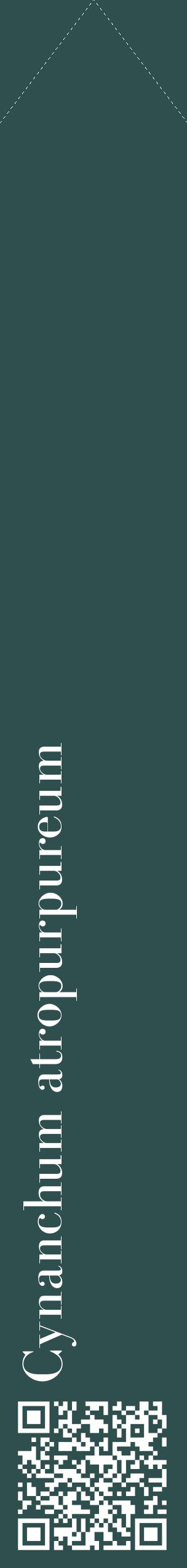 Étiquette de : Cynanchum atropurpureum - format c - style blanche58_simplebod avec qrcode et comestibilité