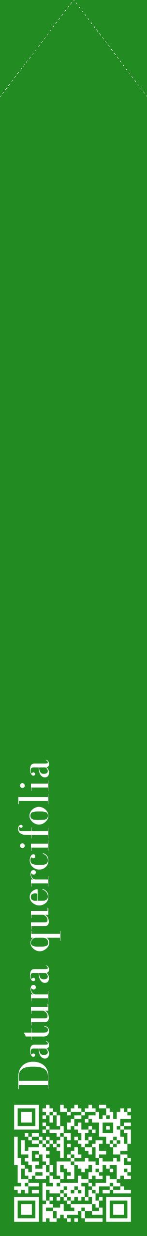 Étiquette de : Datura quercifolia - format c - style blanche10_simplebod avec qrcode et comestibilité