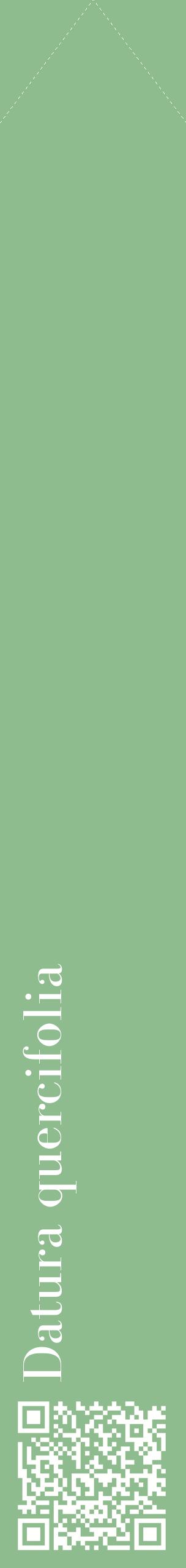 Étiquette de : Datura quercifolia - format c - style blanche13_simplebod avec qrcode et comestibilité