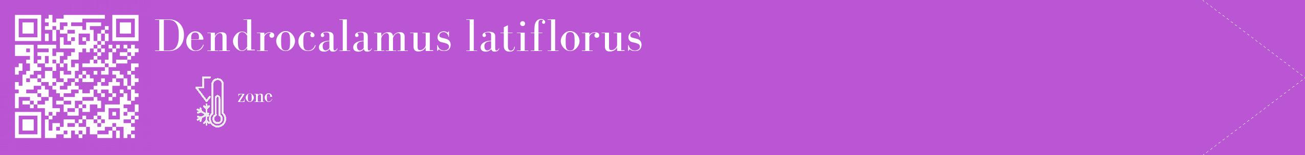 Étiquette de : Dendrocalamus latiflorus - format c - style blanche50_simple_simplebod avec qrcode et comestibilité