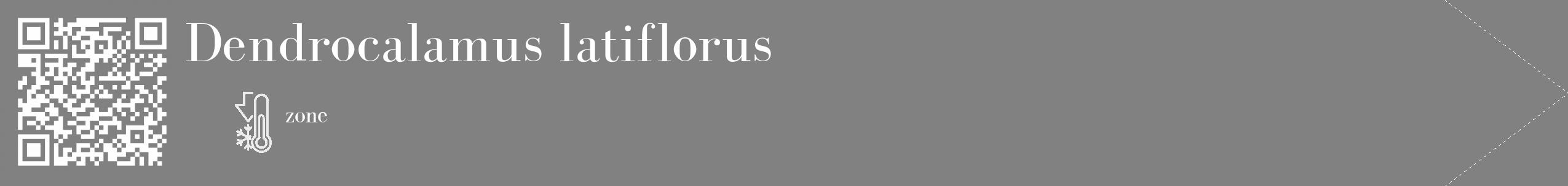 Étiquette de : Dendrocalamus latiflorus - format c - style blanche50_simple_simplebod avec qrcode et comestibilité