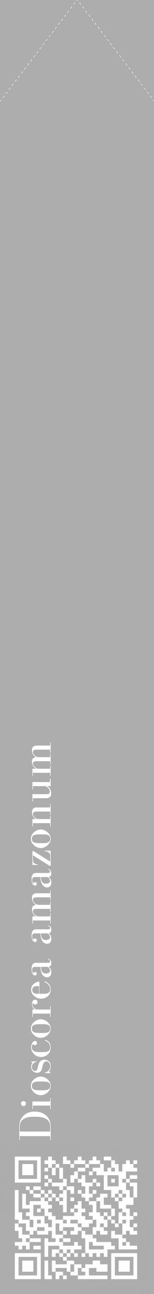 Étiquette de : Dioscorea amazonum - format c - style blanche22_simple_simplebod avec qrcode et comestibilité - position verticale