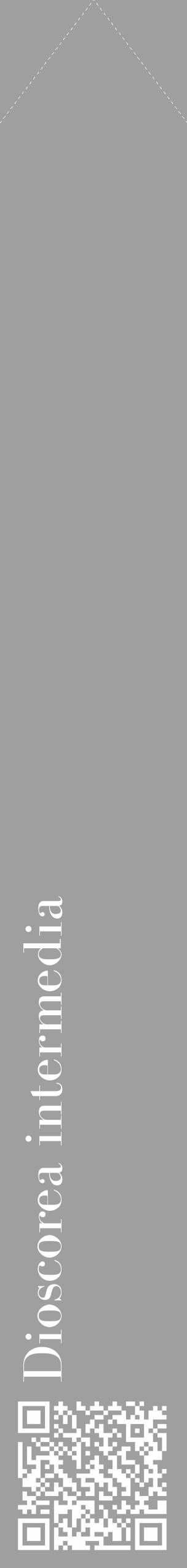 Étiquette de : Dioscorea intermedia - format c - style blanche24_simple_simplebod avec qrcode et comestibilité - position verticale