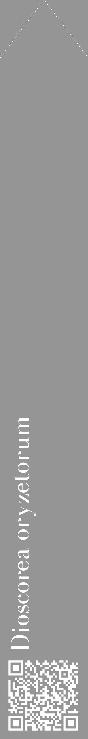 Étiquette de : Dioscorea oryzetorum - format c - style blanche16_simple_simplebod avec qrcode et comestibilité - position verticale
