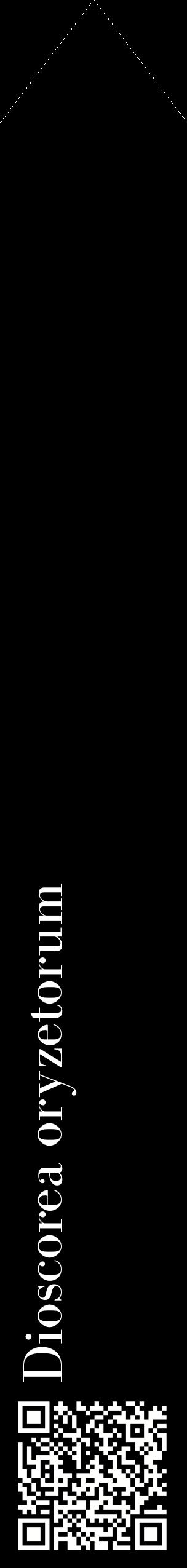 Étiquette de : Dioscorea oryzetorum - format c - style blanche59_simplebod avec qrcode et comestibilité