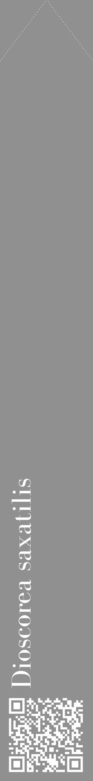Étiquette de : Dioscorea saxatilis - format c - style blanche4_simple_simplebod avec qrcode et comestibilité - position verticale