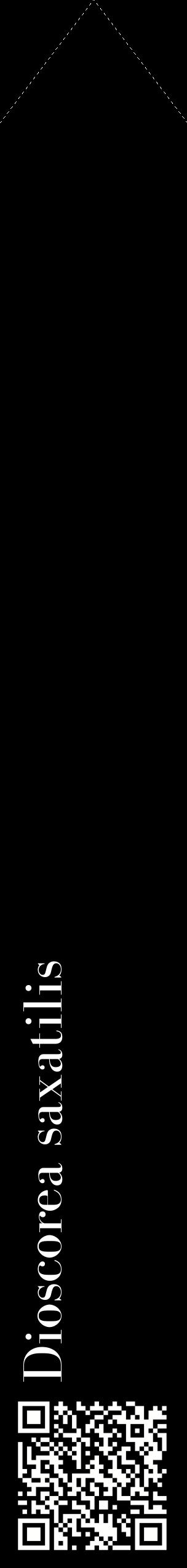Étiquette de : Dioscorea saxatilis - format c - style blanche59_simplebod avec qrcode et comestibilité