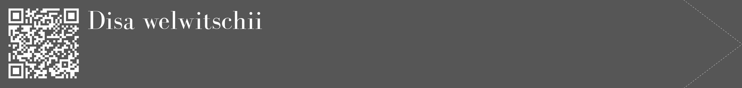 Étiquette de : Disa welwitschii - format c - style blanche45_simple_simplebod avec qrcode et comestibilité