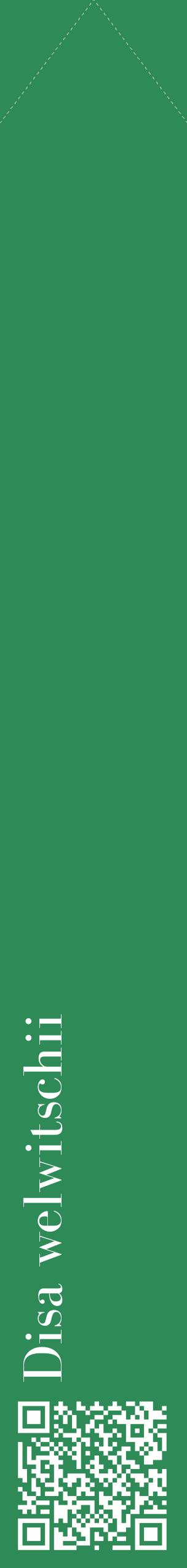 Étiquette de : Disa welwitschii - format c - style blanche11_simplebod avec qrcode et comestibilité