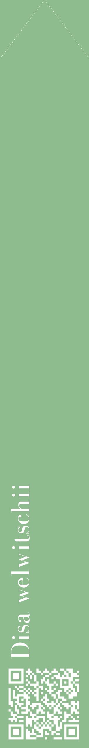 Étiquette de : Disa welwitschii - format c - style blanche13_simplebod avec qrcode et comestibilité