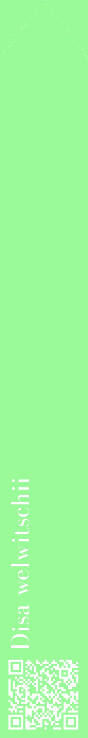 Étiquette de : Disa welwitschii - format c - style blanche14_simplebod avec qrcode et comestibilité