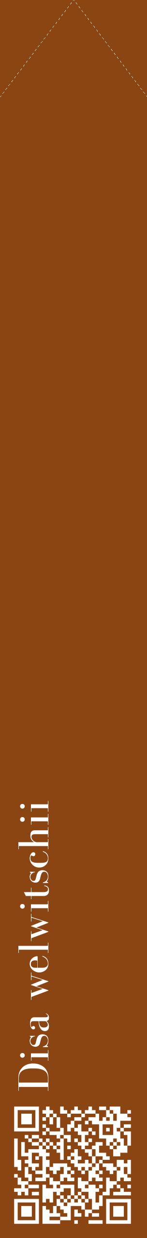 Étiquette de : Disa welwitschii - format c - style blanche30_simplebod avec qrcode et comestibilité