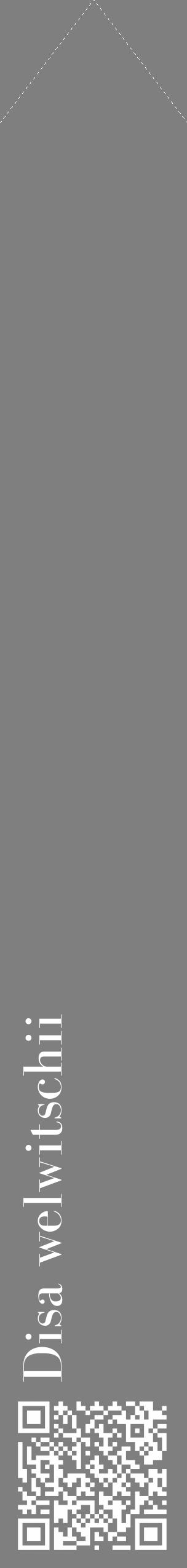 Étiquette de : Disa welwitschii - format c - style blanche31_simple_simplebod avec qrcode et comestibilité - position verticale