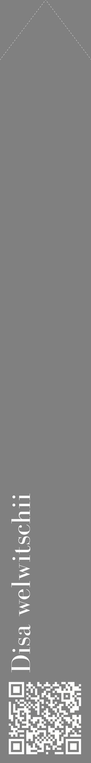 Étiquette de : Disa welwitschii - format c - style blanche57_simplebod avec qrcode et comestibilité