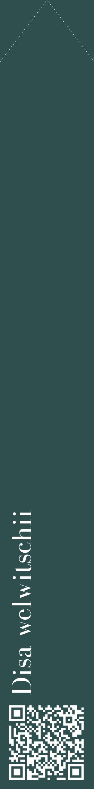Étiquette de : Disa welwitschii - format c - style blanche58_simplebod avec qrcode et comestibilité