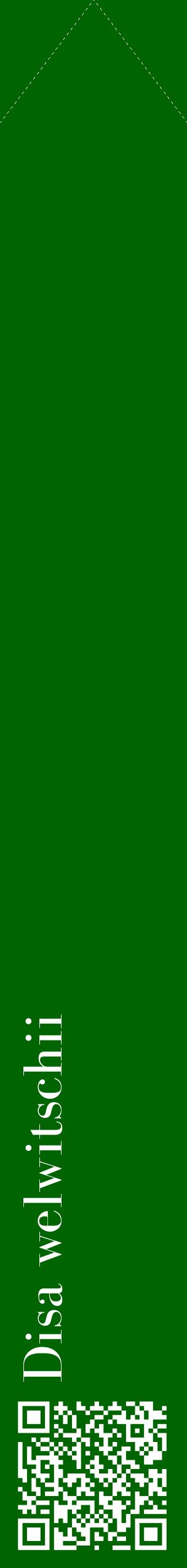 Étiquette de : Disa welwitschii - format c - style blanche8_simplebod avec qrcode et comestibilité