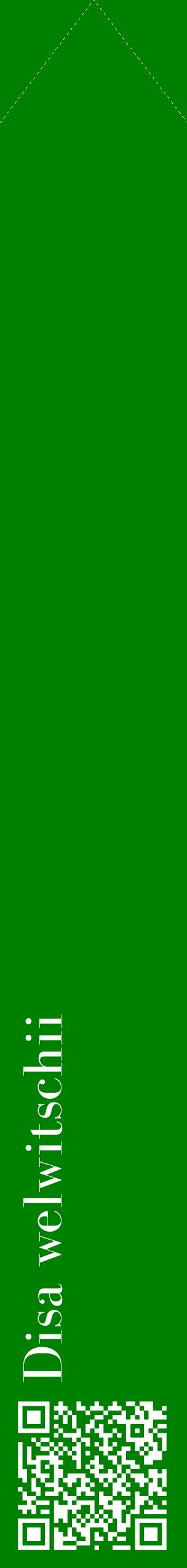 Étiquette de : Disa welwitschii - format c - style blanche9_simplebod avec qrcode et comestibilité