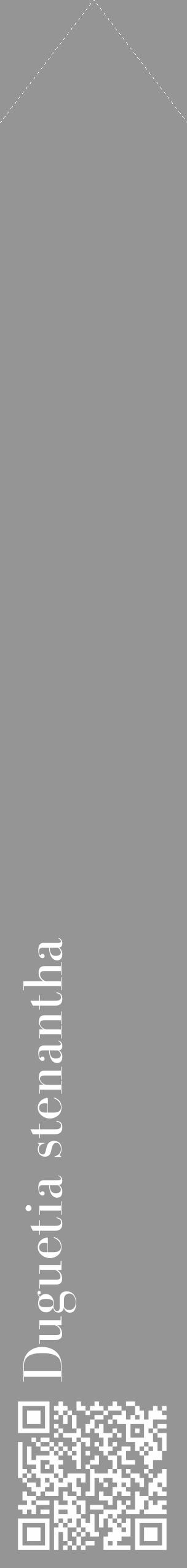 Étiquette de : Duguetia stenantha - format c - style blanche16_simple_simplebod avec qrcode et comestibilité - position verticale