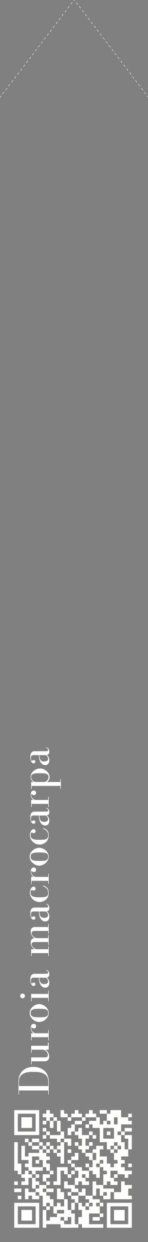 Étiquette de : Duroia macrocarpa - format c - style blanche57_simplebod avec qrcode et comestibilité