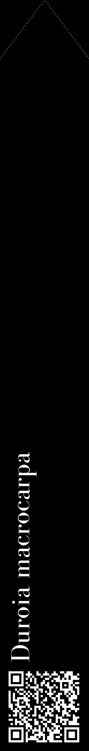Étiquette de : Duroia macrocarpa - format c - style blanche59_simplebod avec qrcode et comestibilité