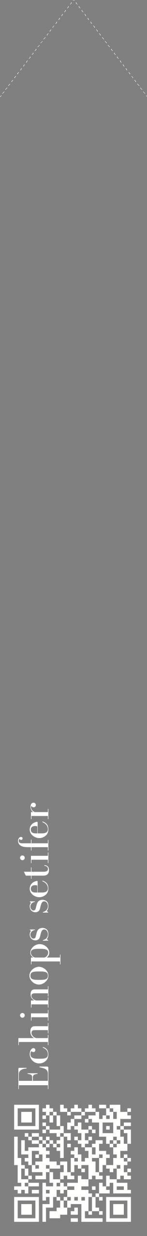 Étiquette de : Echinops setifer - format c - style blanche57_simplebod avec qrcode et comestibilité