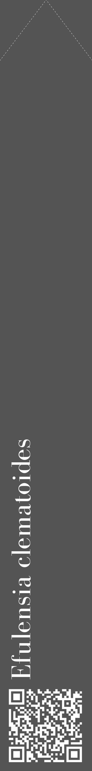 Étiquette de : Efulensia clematoides - format c - style blanche30_simple_simplebod avec qrcode et comestibilité - position verticale