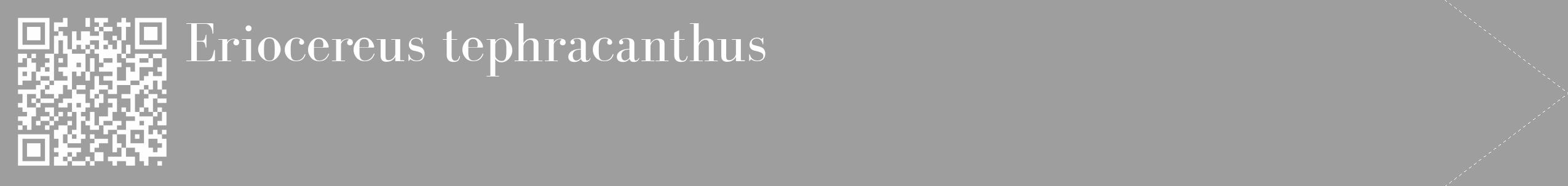 Étiquette de : Eriocereus tephracanthus - format c - style blanche23_simple_simplebod avec qrcode et comestibilité