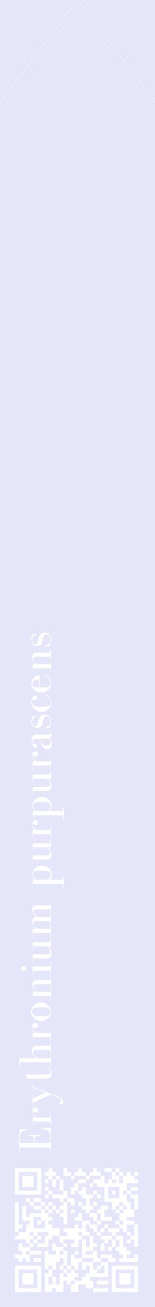 Étiquette de : Erythronium purpurascens - format c - style blanche55_simplebod avec qrcode et comestibilité
