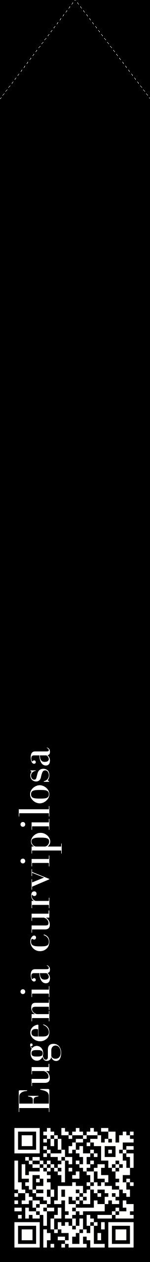 Étiquette de : Eugenia curvipilosa - format c - style blanche59_simplebod avec qrcode et comestibilité