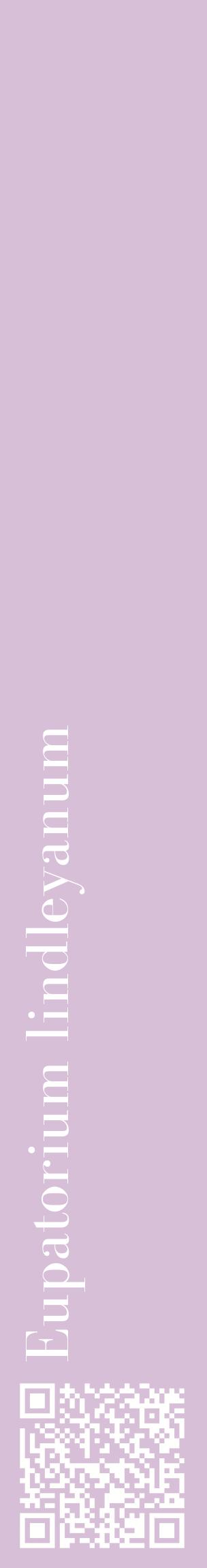 Étiquette de : Eupatorium lindleyanum - format c - style blanche54_basiquebod avec qrcode et comestibilité