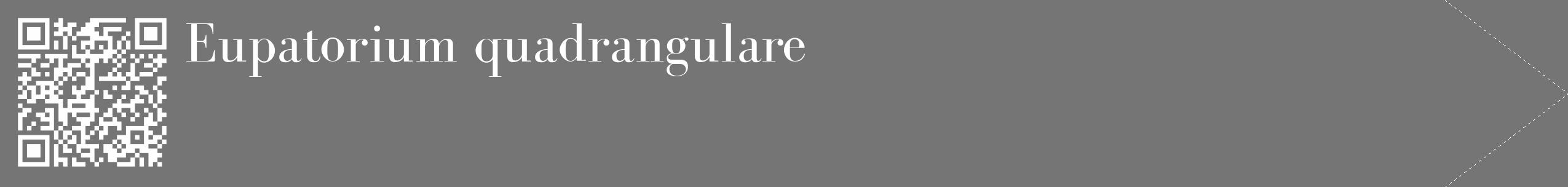 Étiquette de : Eupatorium quadrangulare - format c - style blanche5_simple_simplebod avec qrcode et comestibilité