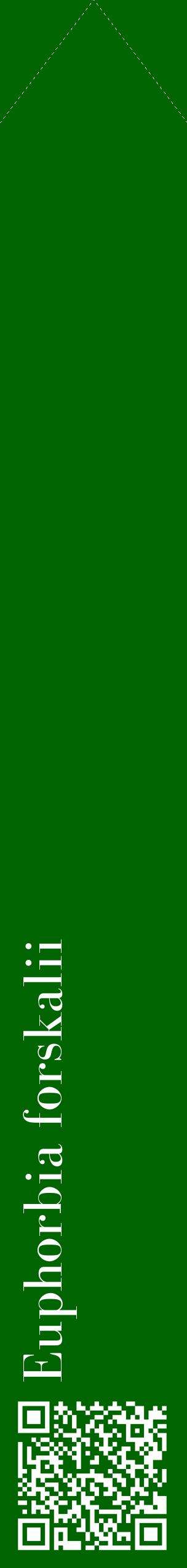 Étiquette de : Euphorbia forskalii - format c - style blanche8_simplebod avec qrcode et comestibilité
