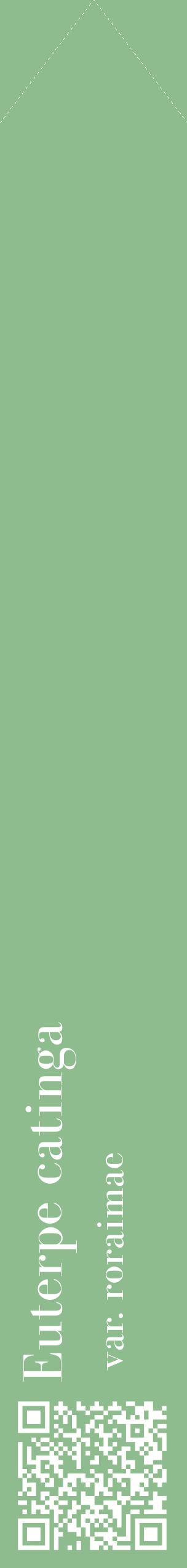 Étiquette de : Euterpe catinga var. roraimae - format c - style blanche13_simplebod avec qrcode et comestibilité