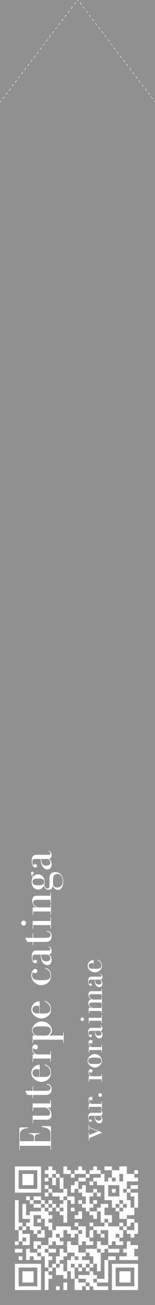 Étiquette de : Euterpe catinga var. roraimae - format c - style blanche4_simple_simplebod avec qrcode et comestibilité - position verticale