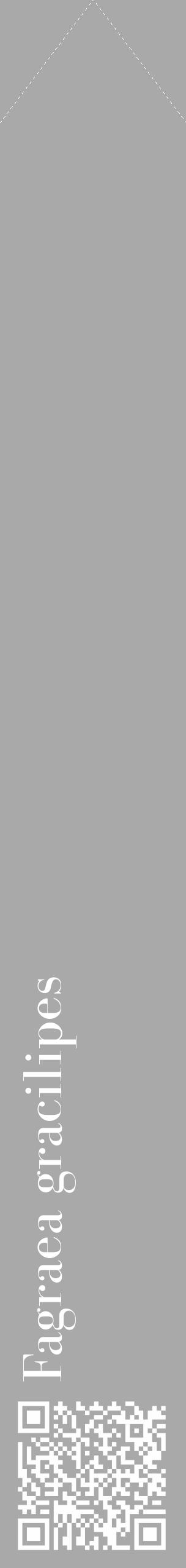 Étiquette de : Fagraea gracilipes - format c - style blanche13_simple_simplebod avec qrcode et comestibilité - position verticale