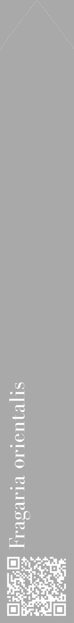 Étiquette de : Fragaria orientalis - format c - style blanche13_simple_simplebod avec qrcode et comestibilité - position verticale