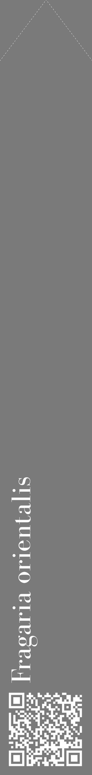 Étiquette de : Fragaria orientalis - format c - style blanche3_simple_simplebod avec qrcode et comestibilité - position verticale