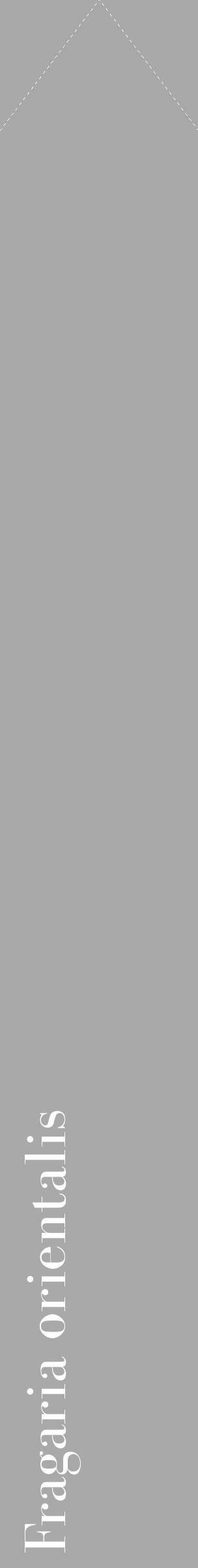 Étiquette de : Fragaria orientalis - format c - style blanche13_simple_simplebod avec comestibilité - position verticale