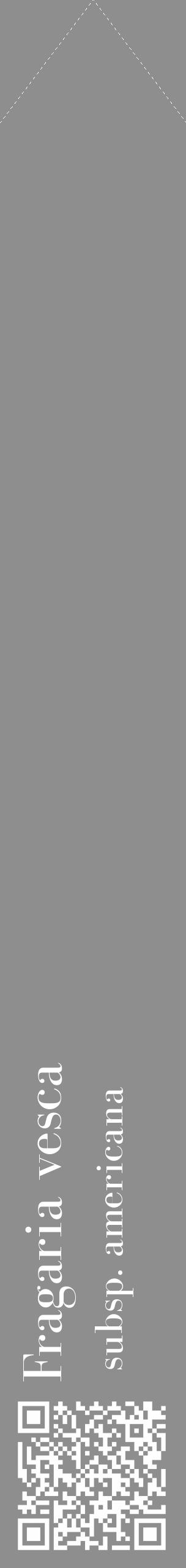 Étiquette de : Fragaria vesca subsp. americana - format c - style blanche25_simple_simplebod avec qrcode et comestibilité - position verticale