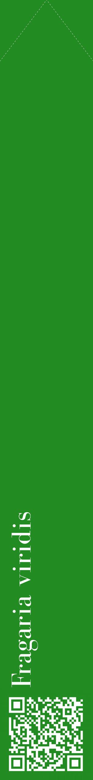 Étiquette de : Fragaria viridis - format c - style blanche10_simplebod avec qrcode et comestibilité