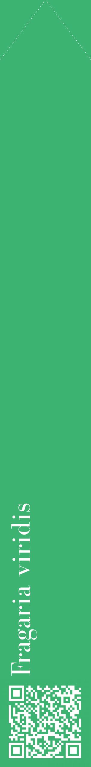 Étiquette de : Fragaria viridis - format c - style blanche12_simplebod avec qrcode et comestibilité