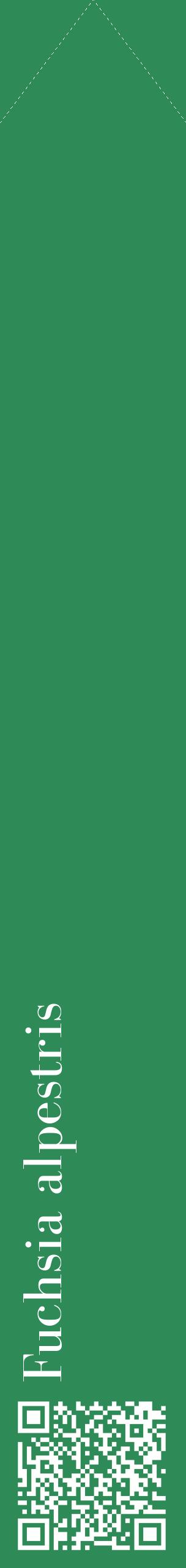 Étiquette de : Fuchsia alpestris - format c - style blanche11_simplebod avec qrcode et comestibilité